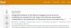 GUT发表国家癌症中心血清代谢组肠癌早筛突破进展